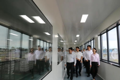 省市場監(jiān)管局局長萬鵬龍調(diào)研我市食品安全工作要求 壓實(shí)主體責(zé)任加強(qiáng)監(jiān)管力度