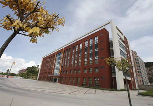 珠海金灣5所本科高校投檔線公布，職業(yè)教育培訓(xùn)助力學(xué)子成才